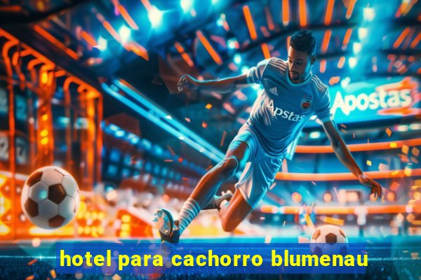 hotel para cachorro blumenau